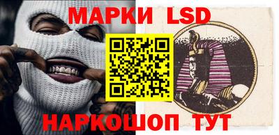 дмт Краснодар