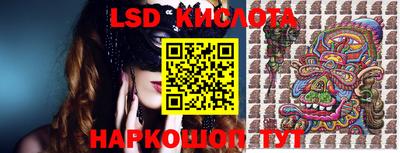 дмт Краснодар