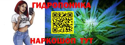 дмт Краснодар