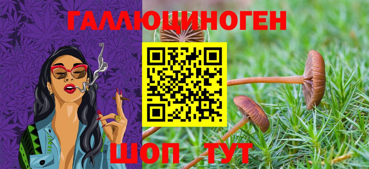 Кимры  где найти наркотики  Вход с VPN  Псилоцибиновые грибы MAGIC MUSHROOMS 